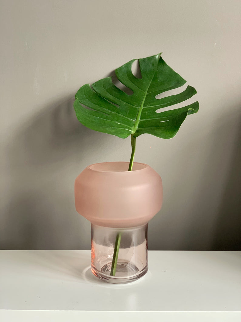 Valentina Smoky Pink Vase with Plant
