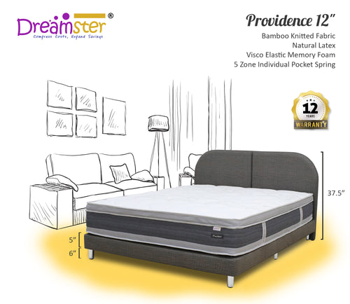 Dreamster Providence 12”